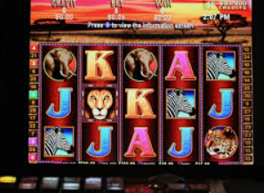 天庭娱乐3621官网版最新版